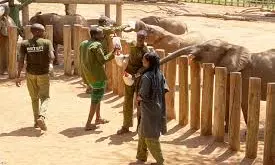 Reteti Sanctuary with no poachers threat : The Impact Of Wildlife Conservation In Kenya