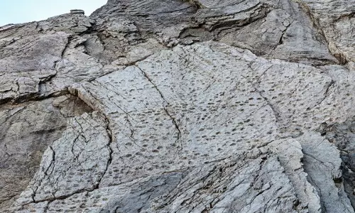 A Photographer Finds Thousands Of Dinosaur Footprints Near Italian Winter Olympic Venue