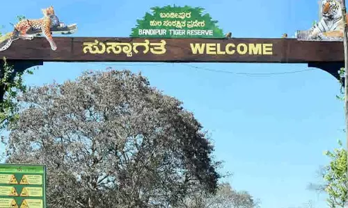 Karnataka: Bandipur Forest Staff Get Body Cameras