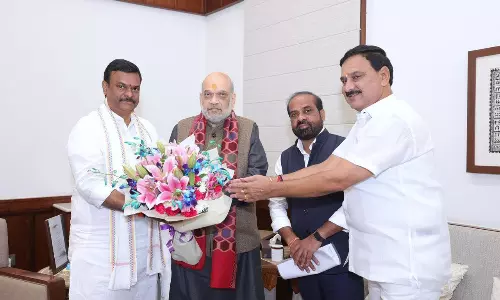 AP BJP Leaders Call on Amit Shah in Delhi
