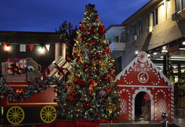 Historic Churches Adorned for Christmas Celebrations Historic Churches Adorned for Christmas Celebrations