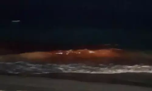 Rare Waves Make Sea Blush Red Along RK Beach in Vizag