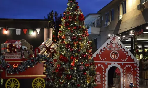 Historic Churches Adorned for Christmas Celebrations