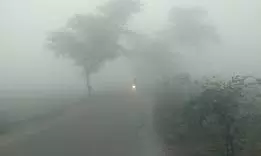 Weather Forecast and Prayer Timings for Friday, December 19, 2025