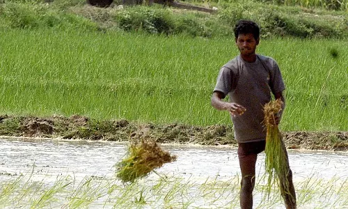 AP Farmers Lose Rs.3,138 Cr in Claims; Blame Government