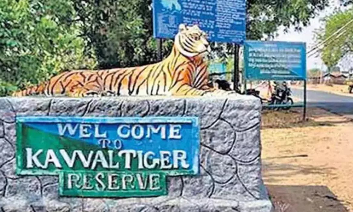 Govt Takes Note Of Forest Curbs On Indiramma Houses In Kawal Tiger Reserve