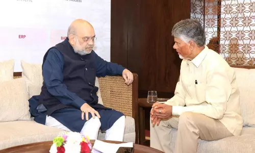 CM Briefs Amit Shah on AP Projects CM Briefs Amit Shah on AP Projects