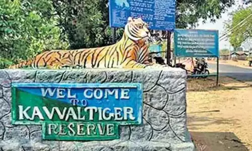 Govt Takes Note Of Forest Curbs On Indiramma Houses In Kawal Tiger Reserve