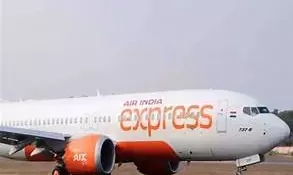 Delhi Airport Incident: AI Express Issues Show Cause Notice To Pilot, To Set Up External Inquiry Panel
