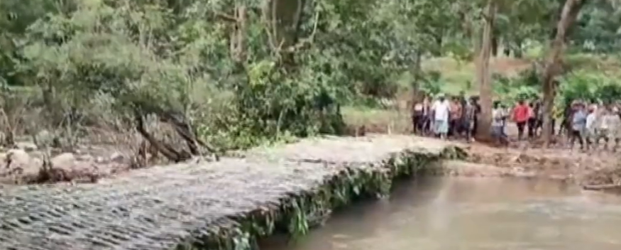 Bastar Tribals Build Bamboo Bridges for Monsoon Connectivity
