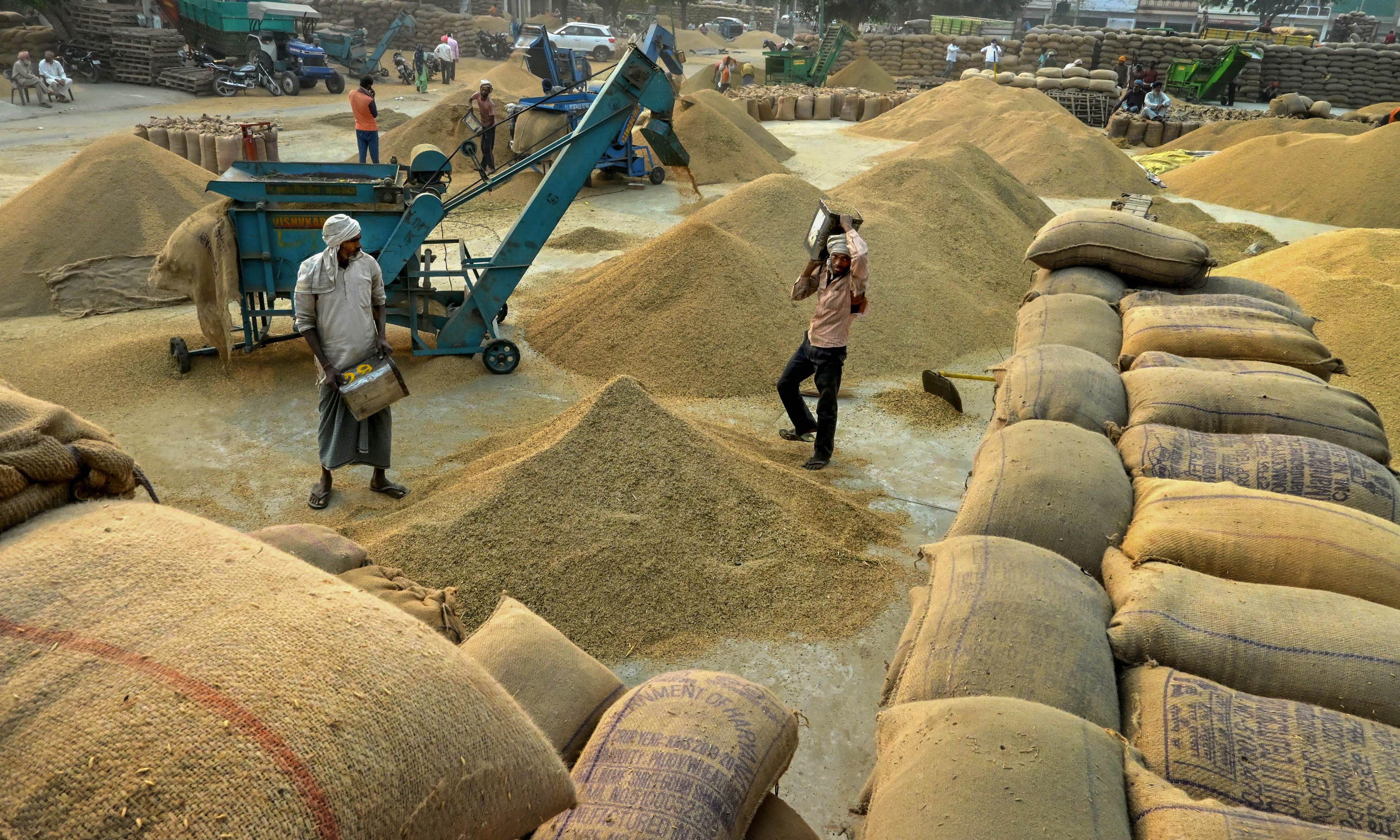 Telangana Paddy Procurement Surpasses 60 LMT