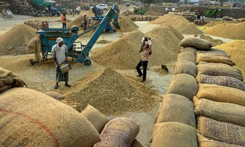 Paddy Procurement for Kharif Crosses 60 LMT