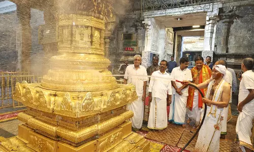 TTD Cleans Tirumala For Vaikunta Ekadasi