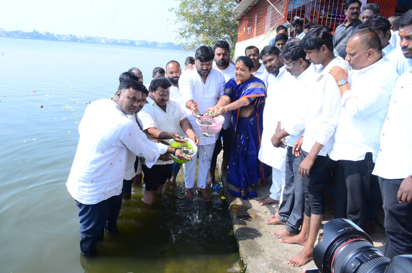 Fish Fingerlings Released in Mahabubsagar Lake