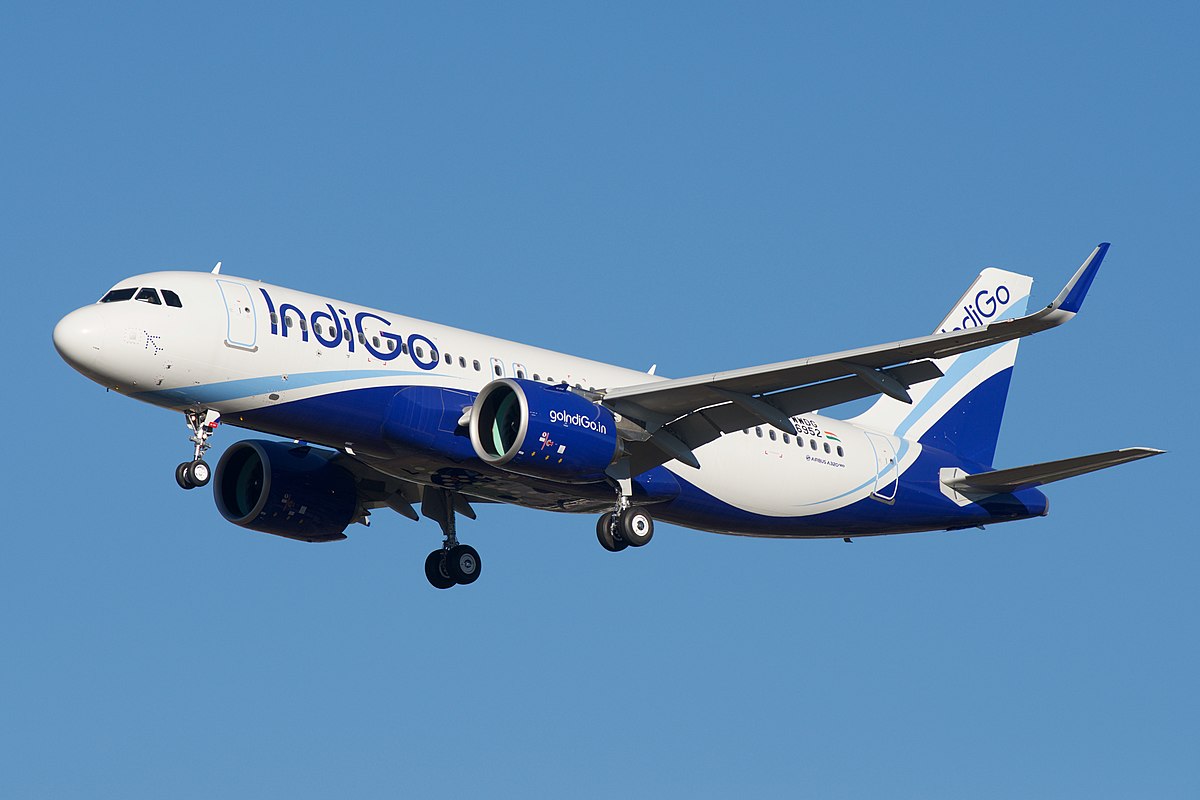 IndiGo Plane Goes Around After Suspected Bird Hit to Preceding Flight