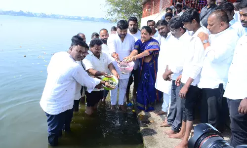 Fish Fingerlings Released in Mahabubsagar Lake