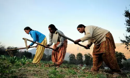 Shikha Mukerjee | Centre vs State: G-Ram-G Fresh Thorn in Torn Flesh