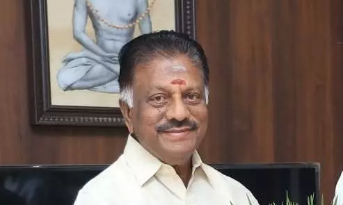 BJP Bid to Bring OPS, TTV into Alliance Hits Roadblock