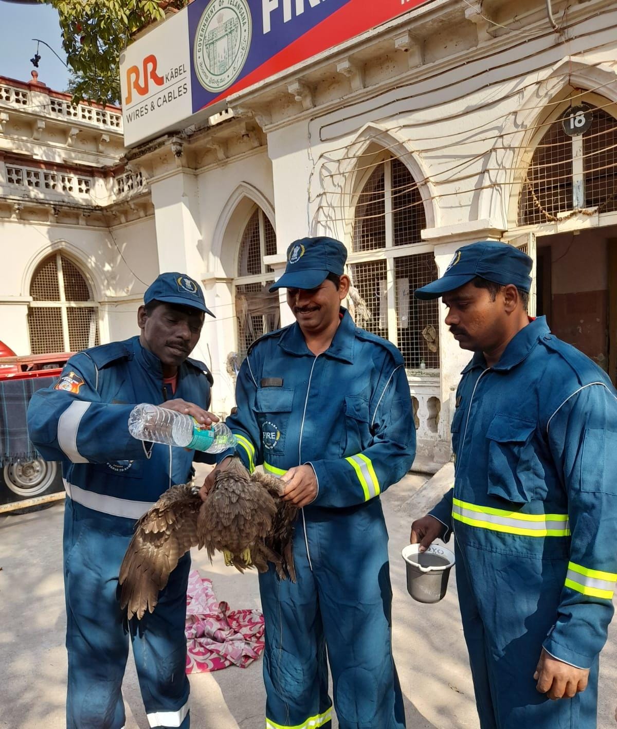 Firefighters Rescue Eagle Entangled Near HC