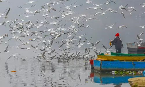 Delhi Sees Brief Respite From Pollution as AQI Records 220