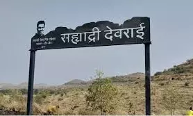 Fire Damages Plantation Site Of Actor Sayaji Shindes Sahyadri Devrai Project In Beed Fire Damages Plantation Site Of Actor Sayaji Shindes Sahyadri Devrai Project In Beed