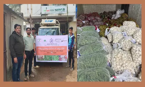 Odisha Farmers Make First Direct Export Of Garlic, French Beans To Dubai
