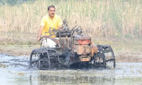 Nimmala Takes To Farming During Festive Break