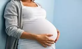 IVRS Calls Reach 2.5 Lakh Pregnant Women, Lactating Mothers