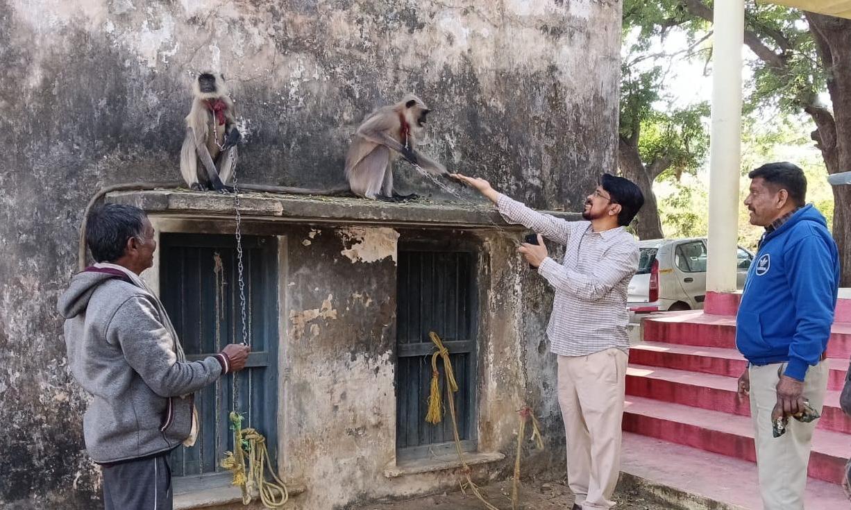 Activists Demand Arrest of Langur Trafficker in Jagtial