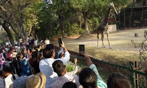 Nehru Zoological Park Sees Over 1 Lakh Visitors During Christmas Weekend