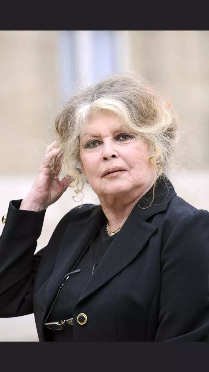 French Actress Brigitte Bardots Life in Pictures