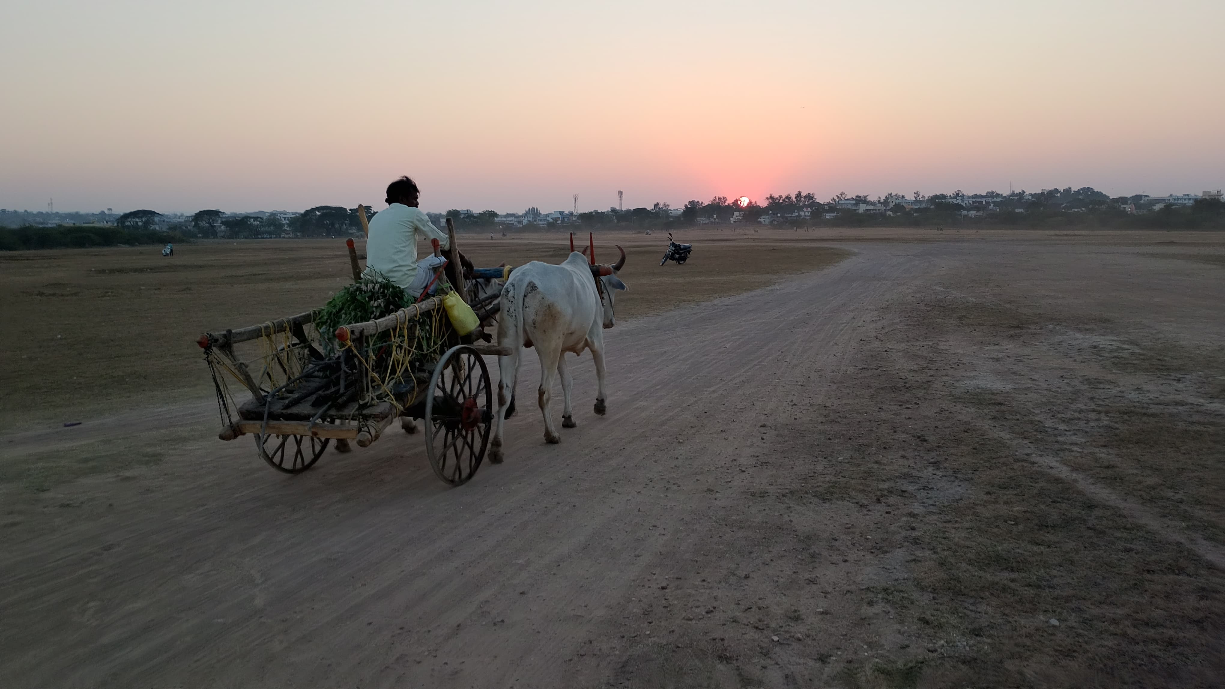 Adilabad Airport Project Survey Underway