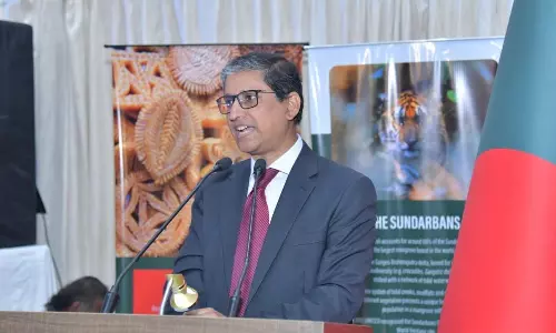 Bangladesh Envoy in Delhi Reaches Dhaka on Urgent Call: Report