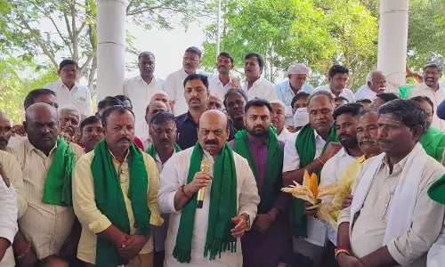 Karnataka: Bommai Slams State Over Delay in Maize Procurement