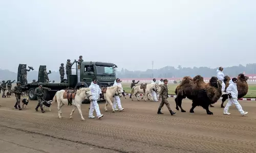 Indian Armys Animal Contingent to March on Republic Day 2026