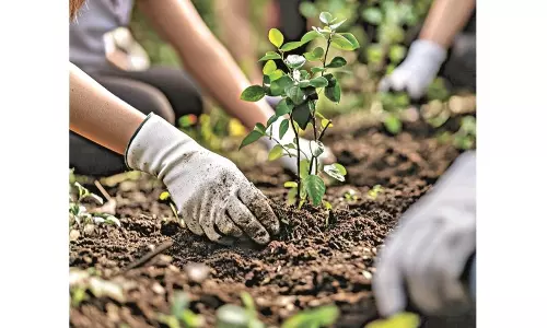 ’Earth’s Best Year Yet