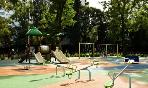 Students, Youth Take New Year Pledge to Clean Municipal Park