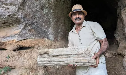 Prehistoric Paintings Found Near Bhadrachalam