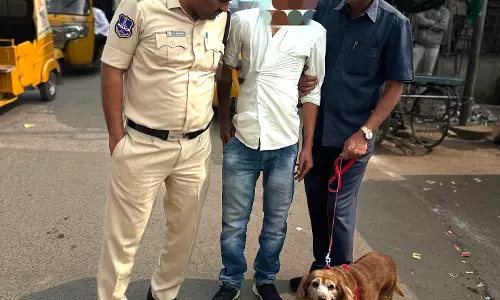 Sniffer Dog Roma Puts Ganja Users, Carriers on Edge