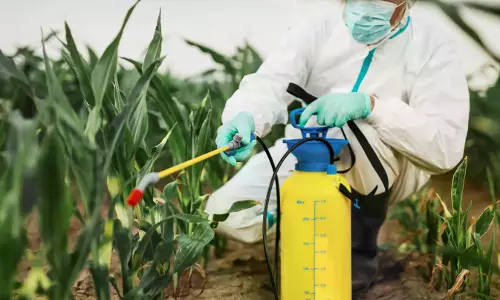 Women Groups Prepare Natural Pest Control, Nutrients