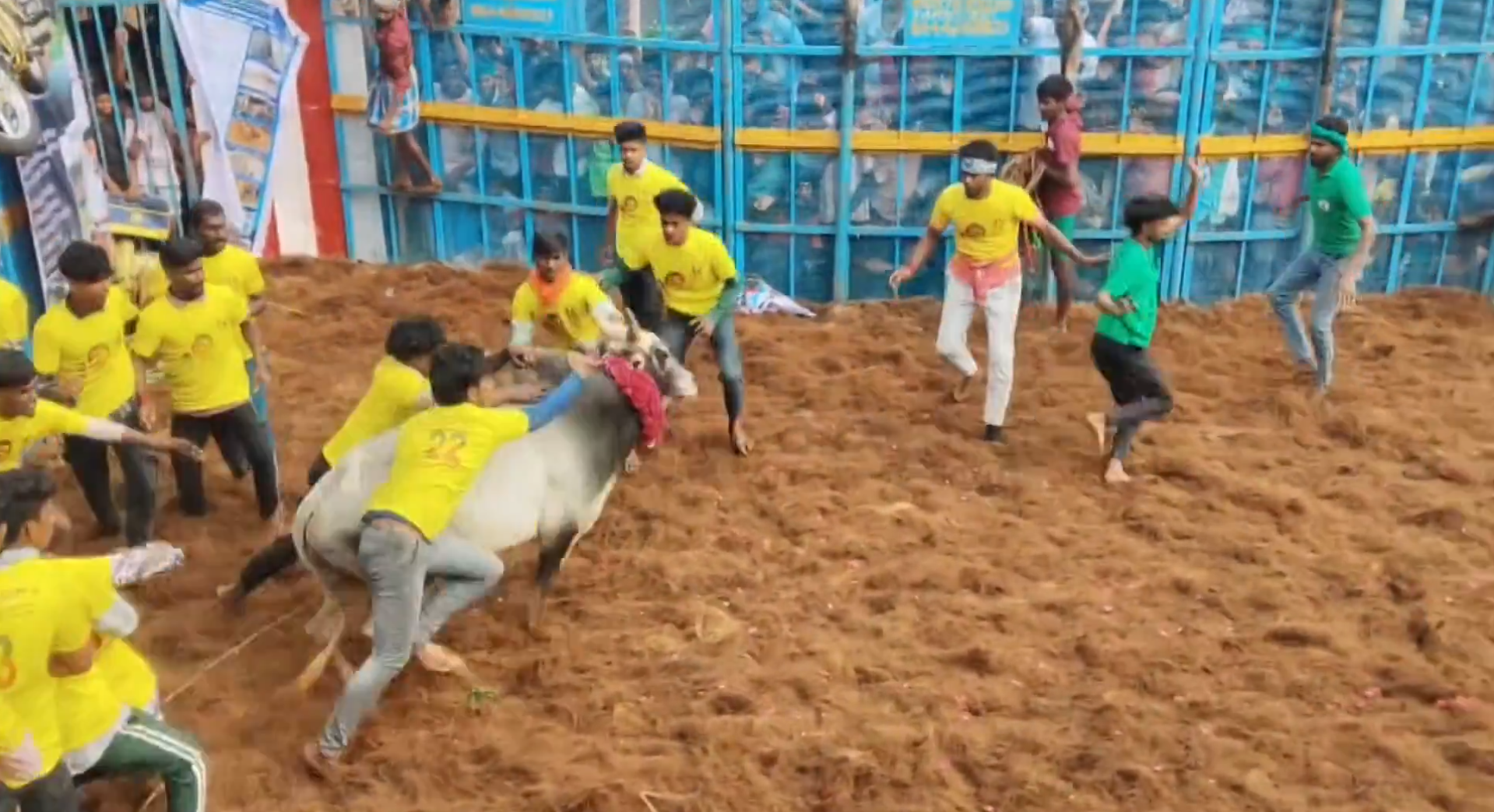 63 Injured in Pudukkottai Jallikattu Event