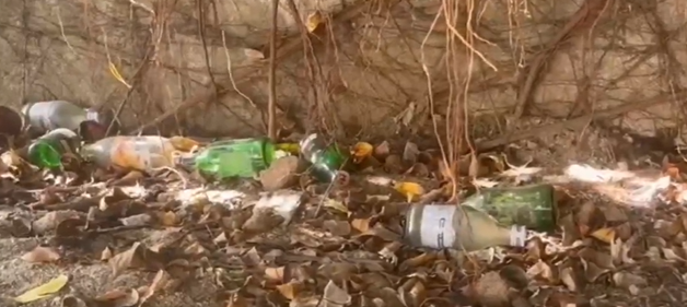 Empty Liquor Bottles Found at Tirumala
