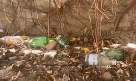 Enforcement Questioned After Discovery of Empty Liquor Bottles at Tirumala Enforcement Questioned After Discovery of Empty Liquor Bottles at Tirumala