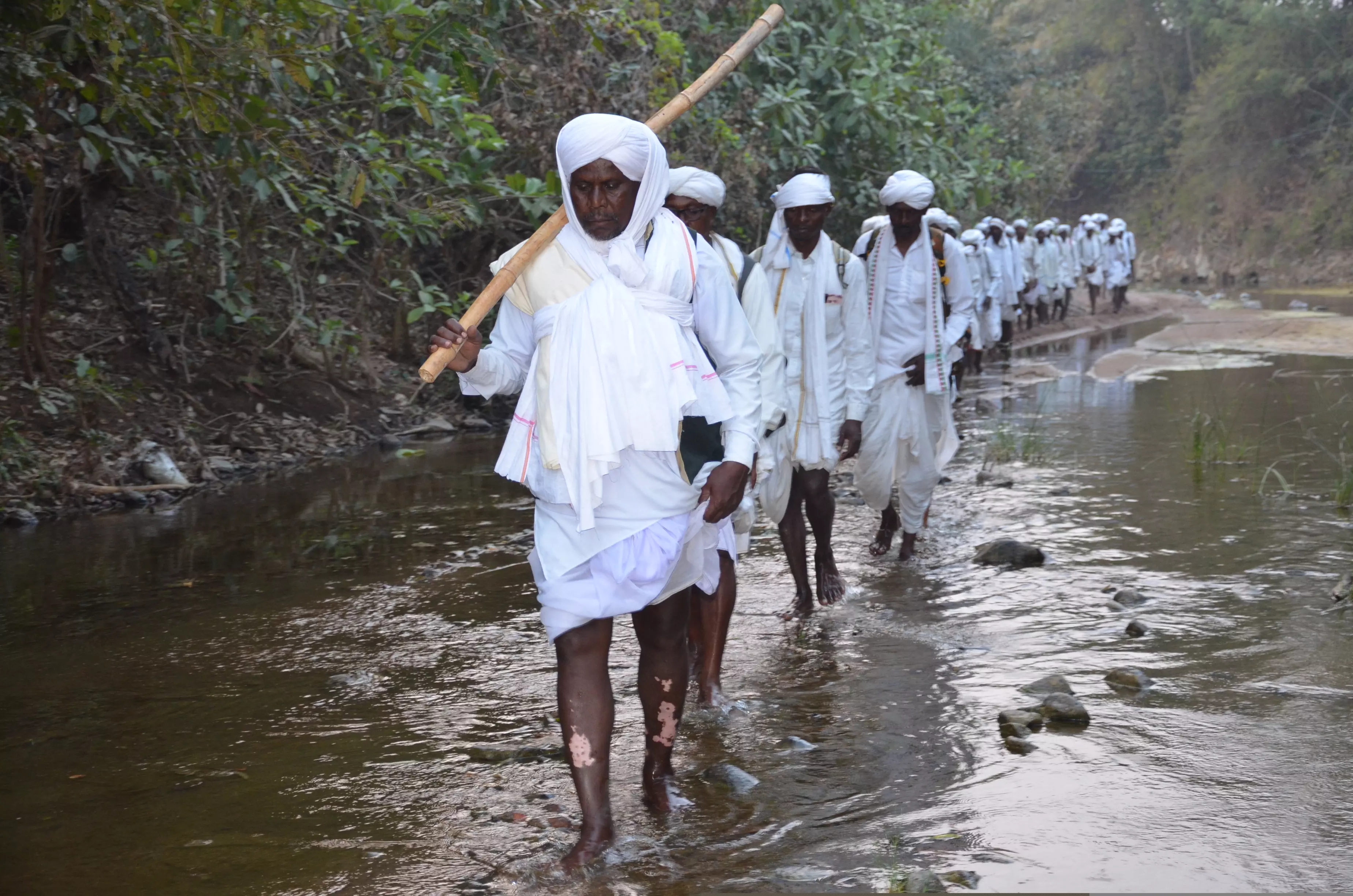 Mesram Clan Continues Padayatra Despite Tiger Movement Alerts Mesram Clan Continues Padayatra Despite Tiger Movement Alerts