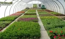 Viksit Bharat G RAM G Gram Sabha Organised In Markapuram Mandal