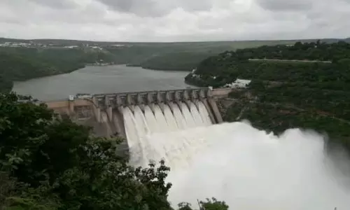 YSRC Wants Immediate Restarting Of Rayalaseema Lift Irrigation Works