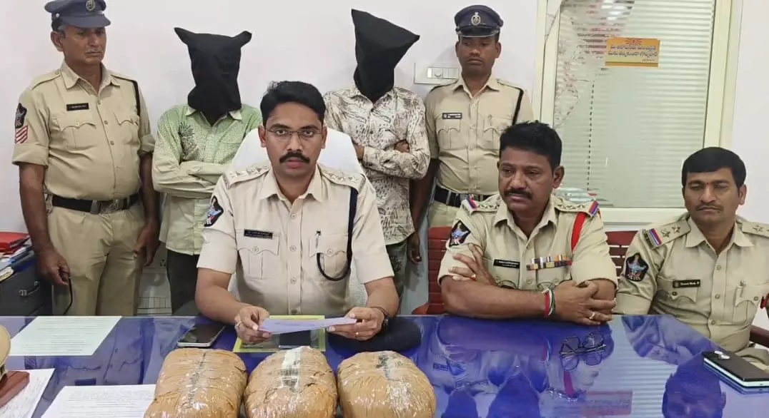 Andhra Pradesh: Three Arrested, Two Minors Detained in Ganja Trafficking Case Andhra Pradesh: Three Arrested, Two Minors Detained in Ganja Trafficking Case