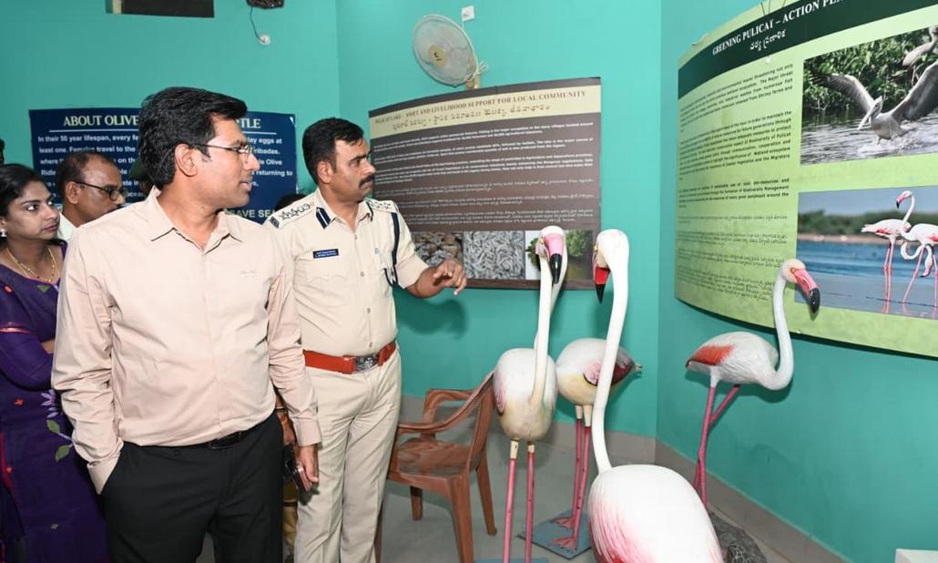 Pulicat Flamingo Festival Promotes Eco-Tourism