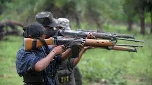 30 Maoists Disappear from Forests Before Deadline