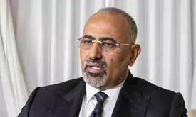 Yemen Separatist Leader Flees With Emirati Help, Saudi Coalition blamed